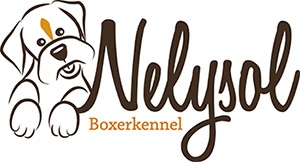 Boxerkennel Van Nelysol