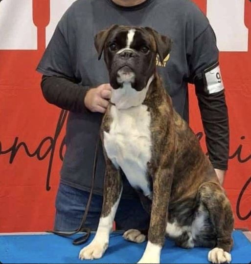 Jafar Jeugdkampioen Belgie .JPG